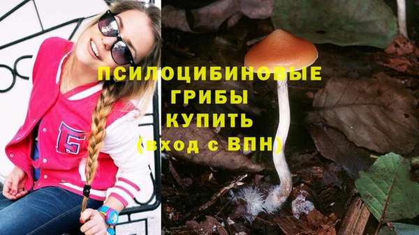 хмурый Пролетарск