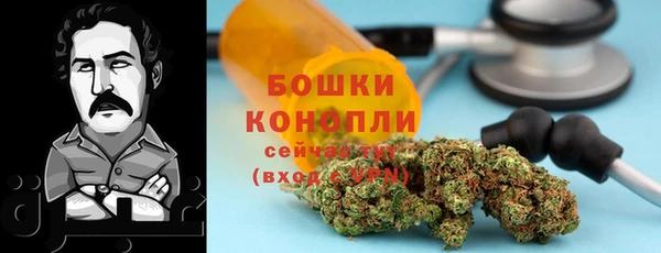 ПСИЛОЦИБИНОВЫЕ ГРИБЫ Протвино