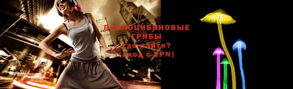 ПСИЛОЦИБИНОВЫЕ ГРИБЫ Протвино