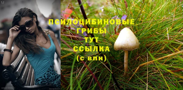 соль курить ск Ростов