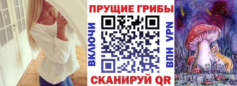 Купить  Ростов  Галлюциногенные грибы мицелий 